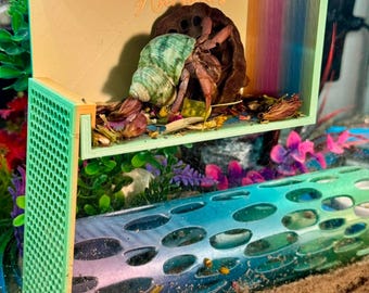 Hermit Crab Hanging Viewing Box - Climber - Enrichment - Ladder
