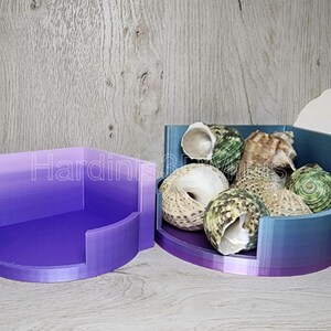 Corner Shell Shop - Hermit Crab Shells - Etsy