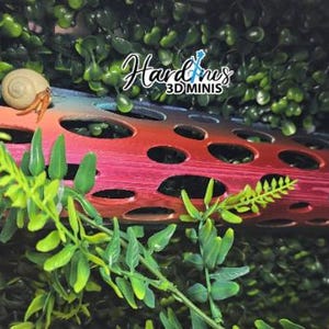 Hermit Crab Climbing Branch - Faux Cholla Wood