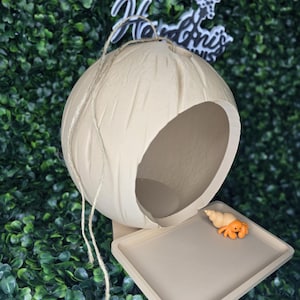 May include: A beige, spherical, hollow enclosure with a textured exterior and a large circular opening. A flat, square beige platform extends from the base, featuring a small, orange, cartoon-style hermit crab figurine with a spiral shell.