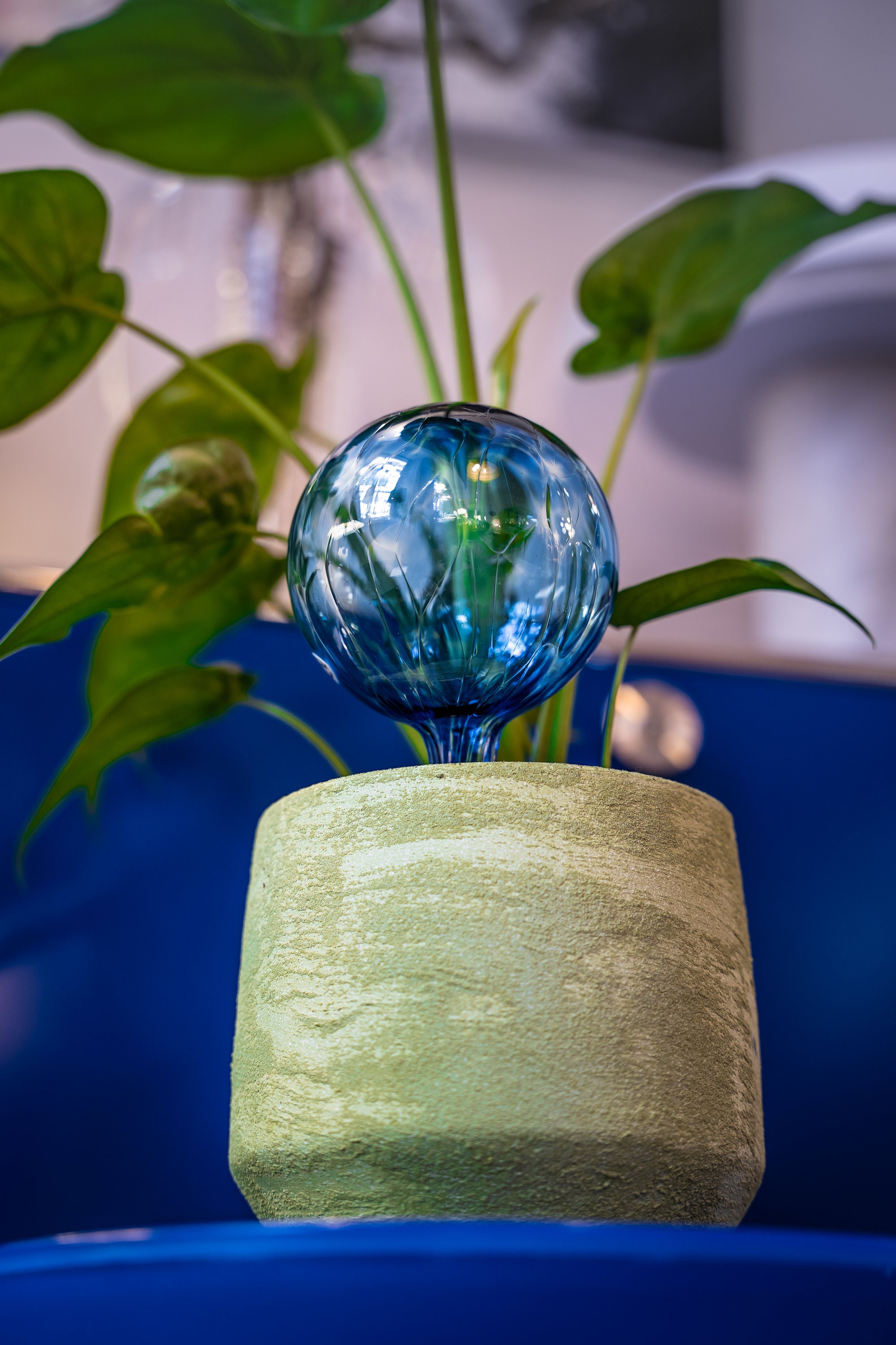 Globe D Arrosage - Globes Plantes Ampoules Verre Aqua Décoratif D