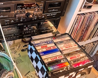 Cassette Storage Case Holds 20 PCS | Audio Cassette Tape Holder | Portable Padded Carrier Organizer for Tape Collectors | Clear Top - Check