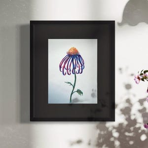 Echinacea Flower color lápiz papel dibujo A4 arte de pared