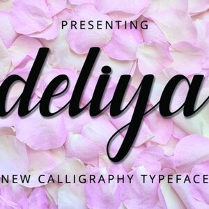 Script font, Wedding font, Handwritten font, Writing font, Cricut font, Cursive font, Procreate font, Goodnotes font, Elegant font