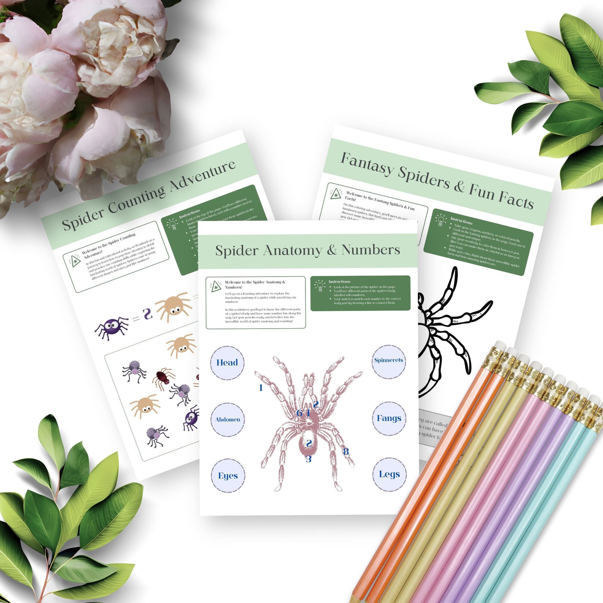 Spider Preschool Activity Bundle: Printable Learning Worksheets (PDF ...