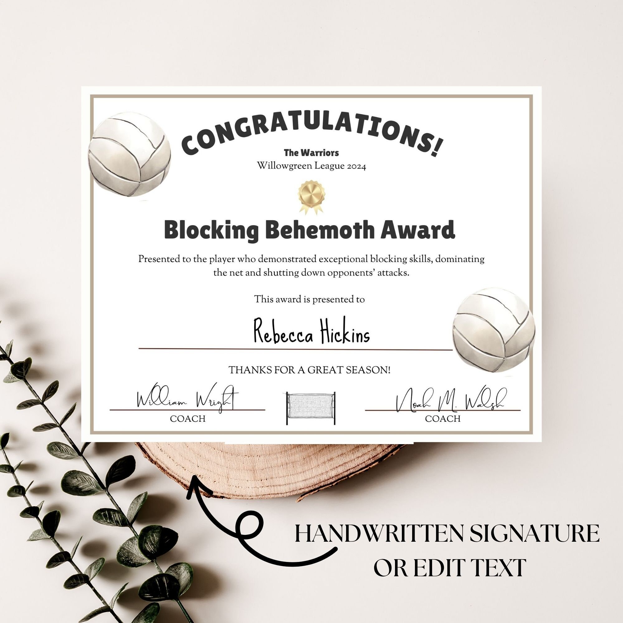 Volleyball Award Certificate, Ceremony Certificates, End of Season