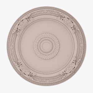 May include: A decorative ceiling medallion with a white, ornate design. The medallion features a central circle with a raised, textured pattern and a smaller circle in the center.