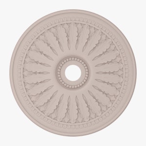 Medalhão de teto personalizado 20