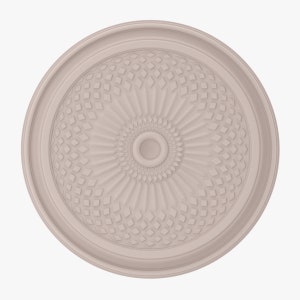 May include: A white ceiling medallion with a decorative, geometric pattern. The medallion has a raised, circular centre with a smaller, recessed circle in the middle.