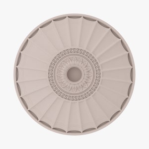 May include: A white circular ceiling medallion with a decorative floral design in the centre. The medallion has a raised edge and a series of radiating lines.