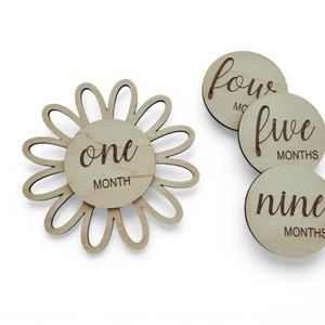 Cartes d'étape mensuelles personnalisées en bois pour bébé, fleurs, médias sociaux, accessoires photo à plat, cadeau de baby shower, enseignes photo pour le mois de bébé, bois