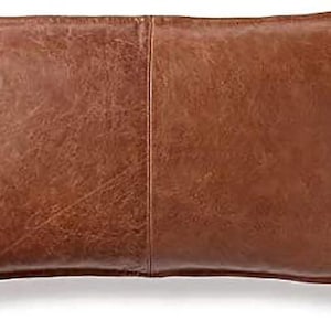 May include: A brown leather pillow with a seam down the center. The pillow is rectangular and has a slightly rounded edge.
