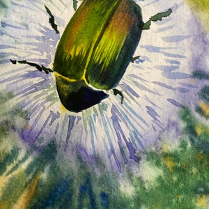 Insekt. Käfer. Pusteblume. Aquarell Originalarbeit. Kleine Malerei 13x18cm.