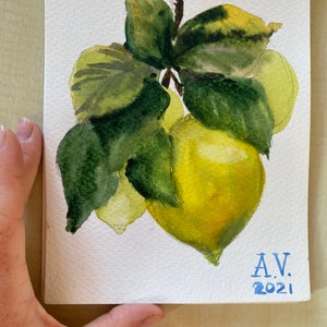 Zitrone. Botanische Malerei. Kleines Aquarellbild. Originalarbeit. Aquarell auf Papier, 15x20 cm