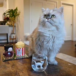 Cat Figurine Glass Cup | Murano Wine Glass | Stemless Wine Glass | Cat Lover Gift | Handmade Glassware | 3D Cat Cup | Barware Gift image 7