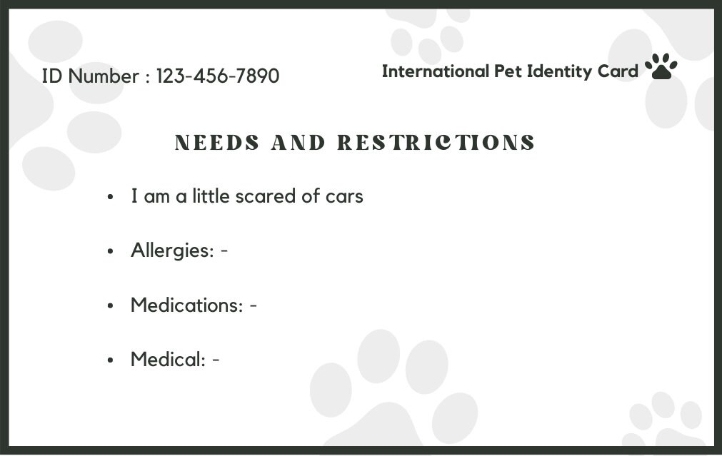 Editable Cat ID Card Pet Identification Missing Cat Dog - Etsy Australia