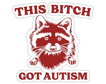 This Bitch Got Autism Sticker, Meme Gift, Raccoon Meme Sticker, Funny Gift, Gag Gift, Dark Humor, Mental Health Sticker, Raccoon Lover Gift