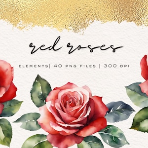Red Roses Floral Clipart Set: 40 PNG Files (Digital Download)