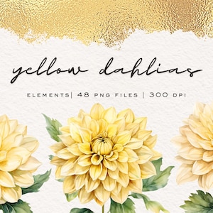 Yellow Dahlias Floral Watercolor Clipart Elements for floral arrangements, 48 PNG Files with transparent background, personal or commercial