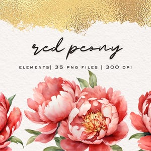 Red Peony Floral Clipart Set: 35 PNG Files (Digital Download)