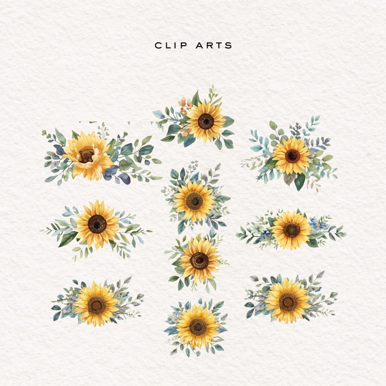 Sunflower Watercolor Clipart: 26 PNG Floral Arrangements for Personal ...