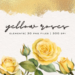 Gele rozen bloemen aquarel clipartelementen voor bloemstukken, 30 png-bestanden met transparante achtergrond, persoonlijk of commercieel