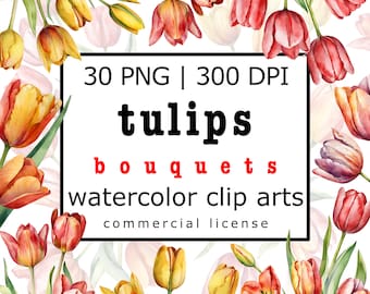 30 Watercolor Tulip Bouquet Clip Art, Spring Floral PNG (Digital Download)