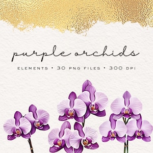 Peut inclure: Des orchidées violettes avec des centres blancs, disposées en groupe de trois, sur un fond de feuille d'or. Le texte "purple orchids" est écrit en cursive noire au-dessus des fleurs. Le texte "ELEMENTS • 30 PNG FILES • 300 DPI" est écrit en noir sous les fleurs.