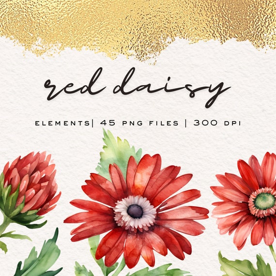 Marguerite Rouges Clipart De Marguerite Rouge