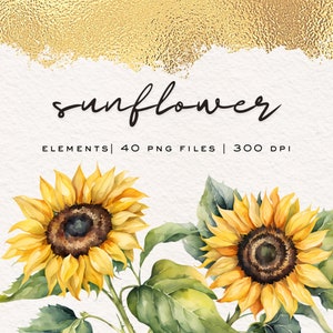 Zonnebloem bloemen aquarel Cliparts - 40 png-ontwerpelementen voor bruiloft, journaling, presentaties, print on demand, persoonlijk en commercieel