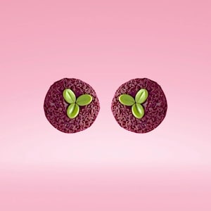 May include: A pair of circular stud earrings featuring a deep purple, textured surface. Each earring is adorned with a small, three-petaled light green leaf element centered on the dark, granular base, creating a distinct contrast in color and texture.