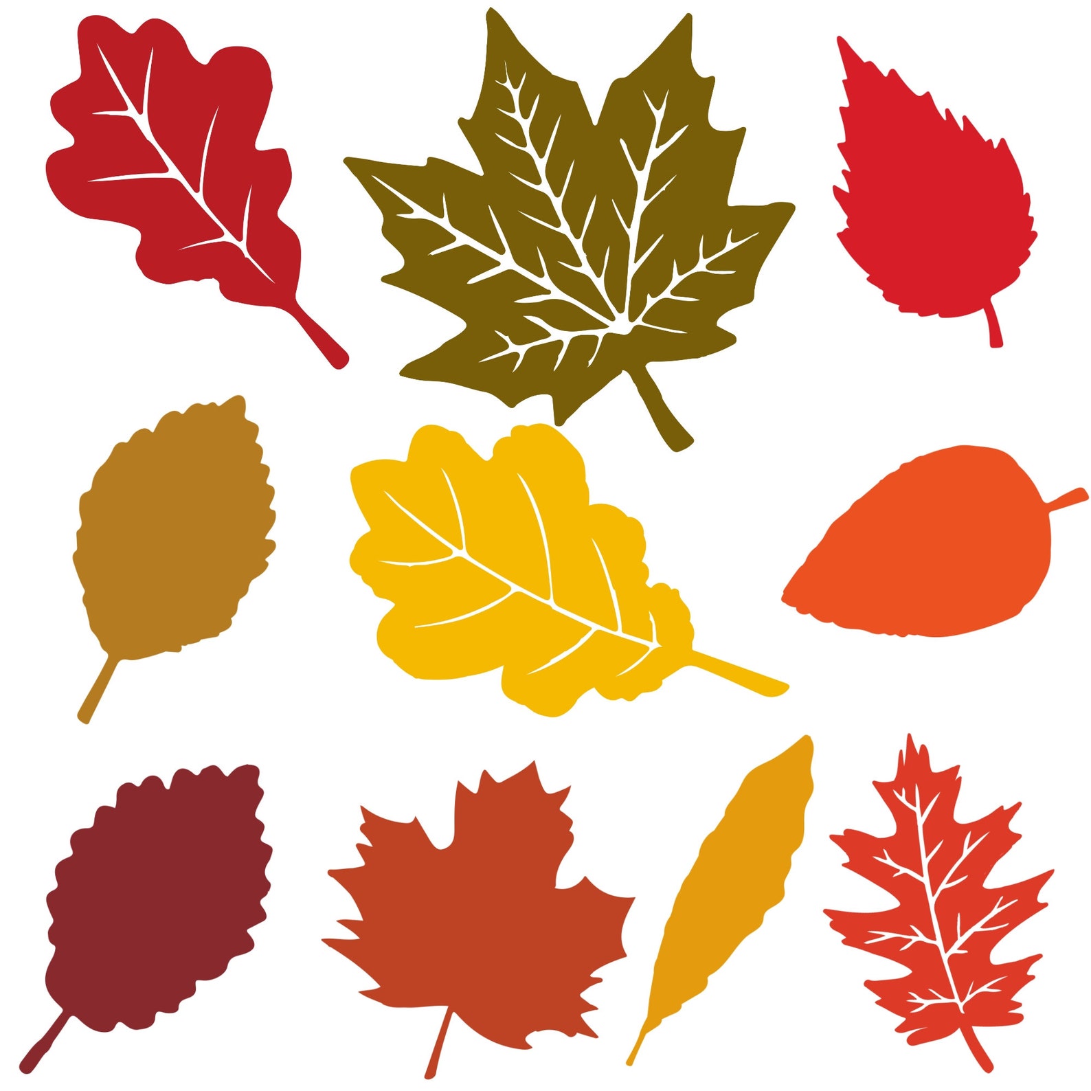 Fall Leaves Svg Fall Svg Fall Png Fall Leaf Svg Bundle Etsy