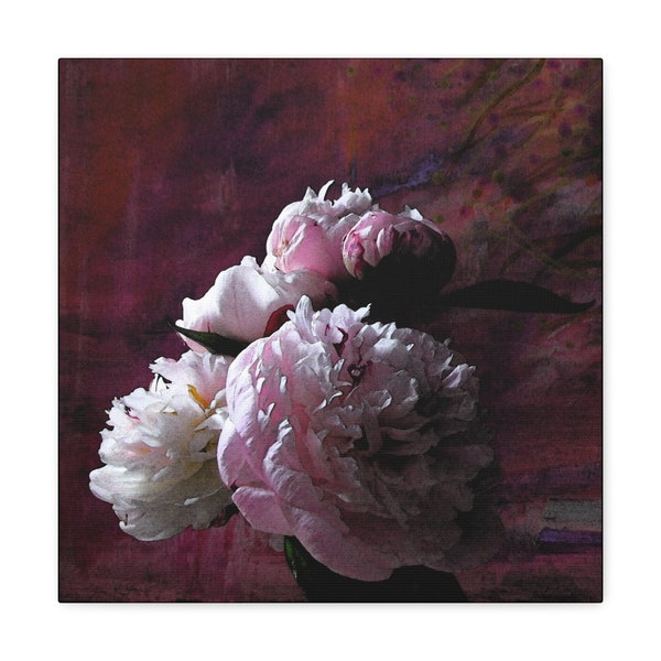 Peony Wall Art Canvas Gallery Wrap a romantic presentation of pink peonies against a rich background looks elegant on dark or light wall.
