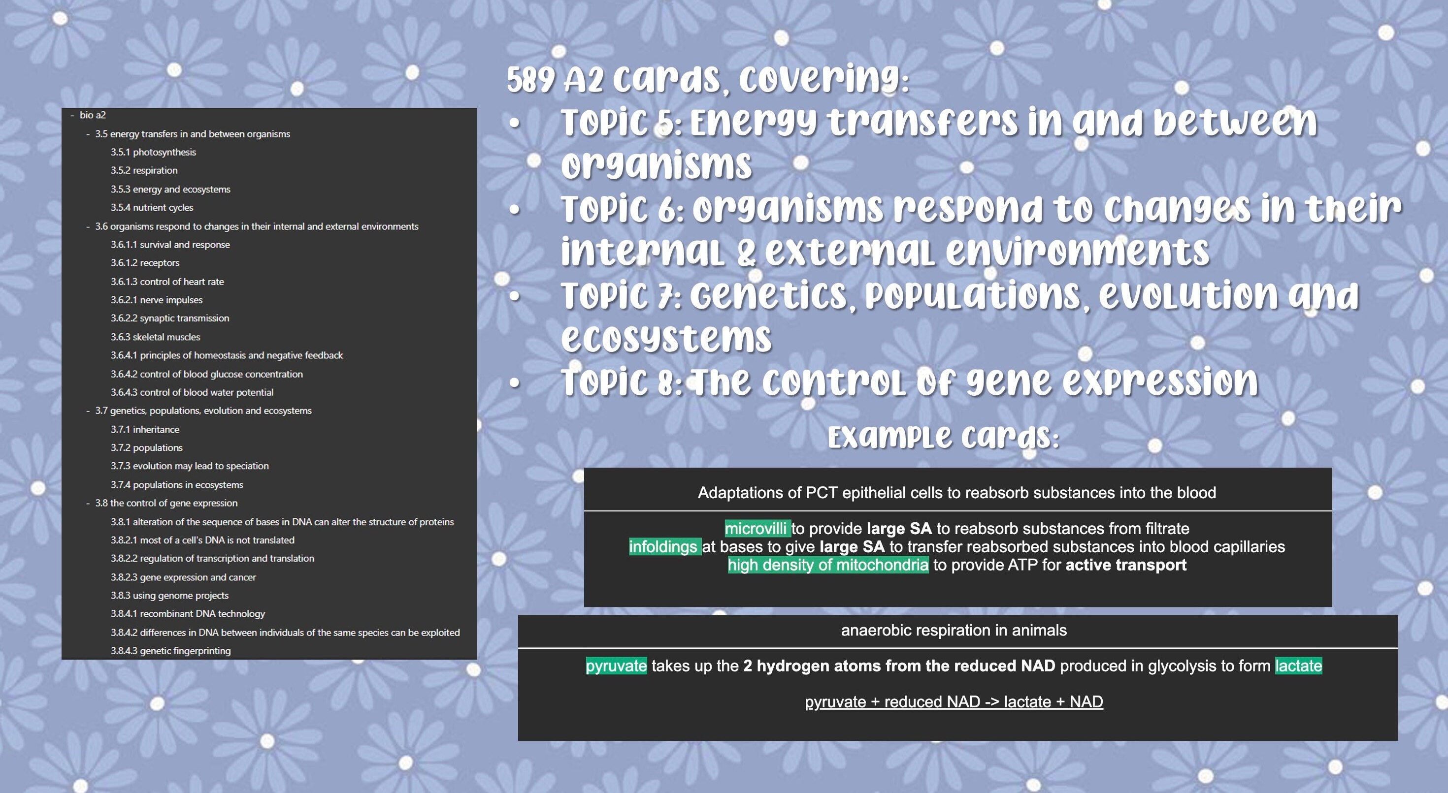 AQA A Level Biology A Anki Decks Flashcards Cards Etsy UK