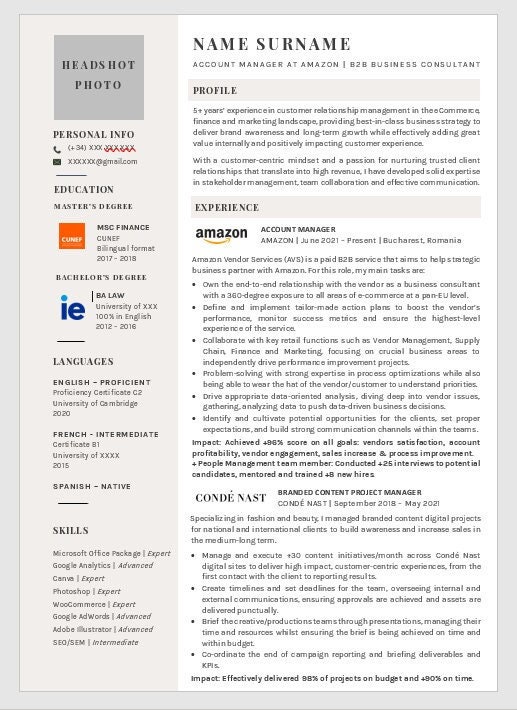 CV Resume Template Account Manager Project Manager Consultant Position ...