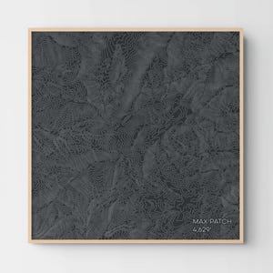 May include: A square wall art piece featuring a dark charcoal gray background with intricate, light gray topographic contour lines. The text "MAX PATCH 4,629'" is printed in white in the bottom right corner, framed by a light wood border.