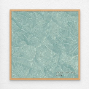 May include: A framed print of a topographic map of Mount Mitchell, the highest peak in the Eastern United States. The map is in shades of green and blue, with the elevation of the mountain, 6,684 feet, printed in the bottom right corner.