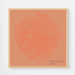 Mount Shasta California Topographic Map Poster or Canvas