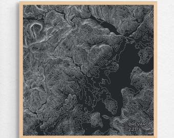 May include: A black and white topographic map print of Brevard, Florida. The map shows the elevation contours of the area. The print is framed in a light wood frame.