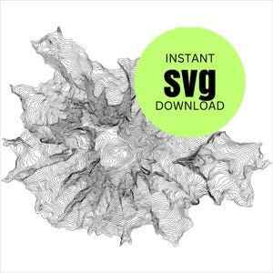 ワシントン州レーニア山地形図 SVG ベクターファイル