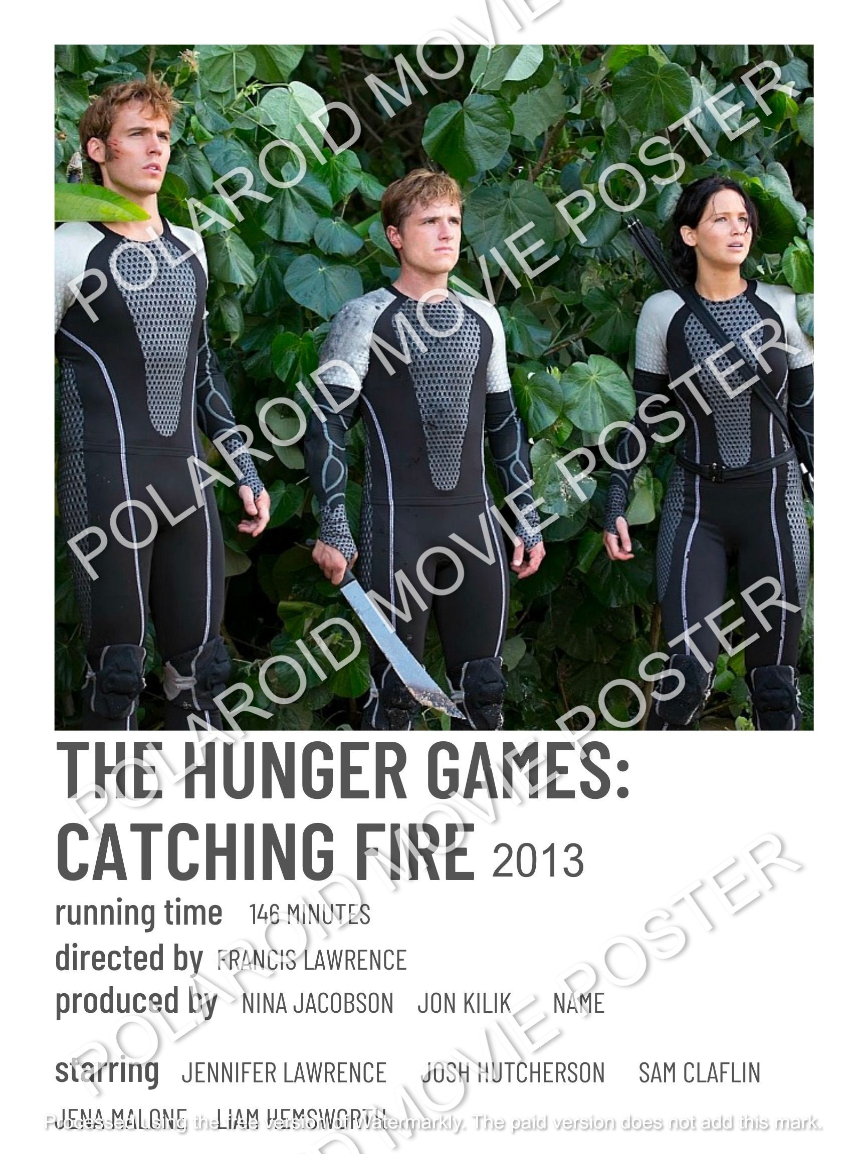 Catching Fire Polaroid Poster [2026]