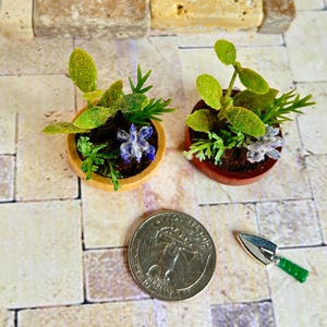 Miniature Dollhouse Herb Garden, Faux Plant Arrangement, 1:12 Scale