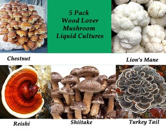 5 Pack Mushroom Liquid Culture, Wood Loving Mushrooms, Free Shipping, Chestnut, Lion's Mane, Shiitake, Turkey Tail, & Reishi Cultures