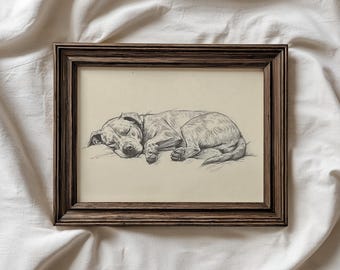 May include: A framed pen and ink drawing of a sleeping dog. The dog is lying down, curled up on a pillow. The frame is a dark brown color.