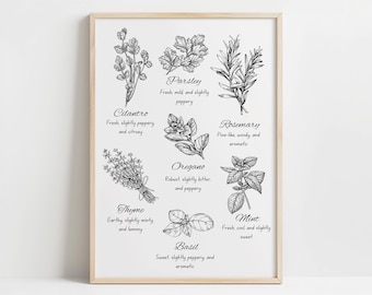 May include: A black and white illustration of nine different herbs with their names and descriptions. The herbs are: cilantro, thyme, parsley, oregano, basil, rosemary, mint.