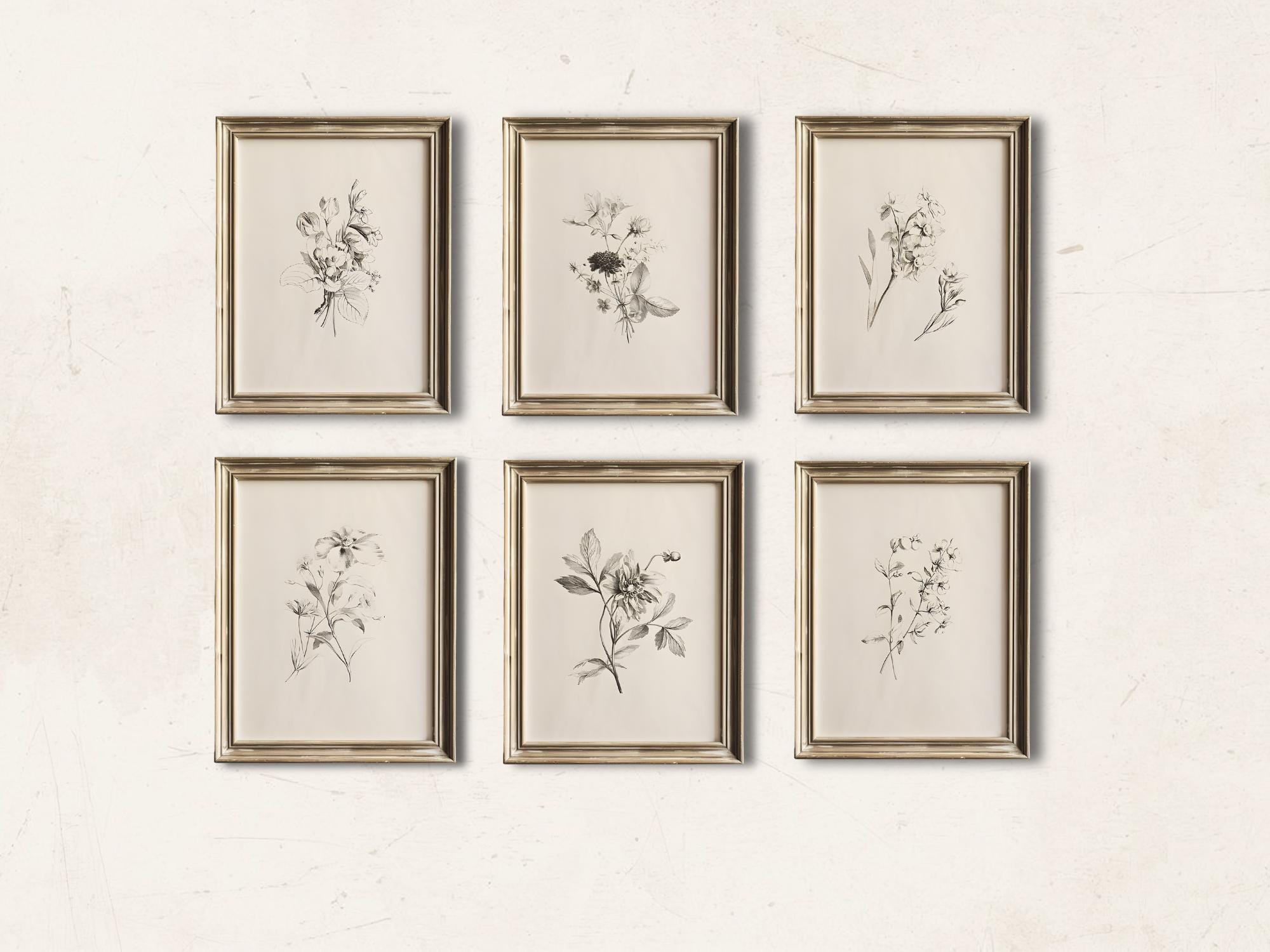 Set of 6 Botanical Prints, Neutral Vintage Floral Art Bundle ...