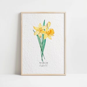 Aquarell März Narzisse Geburtsmonat Blumen Vintage Blumen Kunstdruck, Minimalistische Wohnkultur, botanische Illustration Wandposter