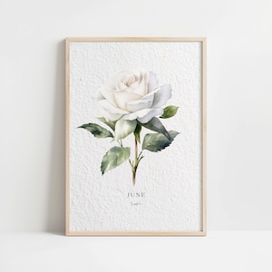 Impresión artística floral vintage con acuarela de rosa de junio, mes de nacimiento, decoración minimalista para el hogar, póster de pared con ilustración botánica