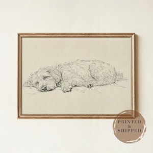 Cockapoo Wall Art Print, UNFRAMED Sleeping Dog Print, Vintage Cockapoo Sketch, Neutral Line Art Pet Decor, Cockapoo Lover Gift