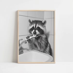 Set of 3 Funny Raccoon Bathroom Wall Art Prints, Black and White Cute ...
